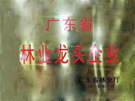    	         	2015年1月，紅古軒當選為“廣東省林業(yè)龍頭企業(yè)”   